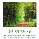 걷는기쁨 Daum카페