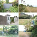 미조초등학교호도분교장 이미지