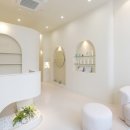 미에스테틱 이미지