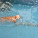 한별유치원 이미지