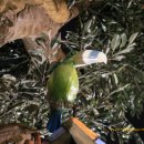 쇠평어린이공원 이미지