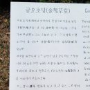 초의선사탄생지 조선차역사박물관 이미지