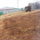 팽성읍 노와리 소로 3-56 | [경기평택시오성면/ 대지경매],최저가 492,240,000원(70%),2014년 12월 29일예정,2014타경848,맨투맨경매