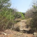 양동농장 이미지