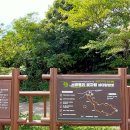 서광동리곶자왈 이미지