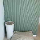 바우애견 이미지