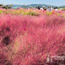 주포농장 이미지