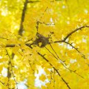 의동마을 이미지