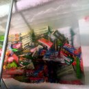 선수입장 이미지