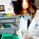 동탄연세원구강악안면외과치과의원 이미지