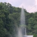 샘터낚시터 이미지