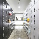 리바디짐 이미지