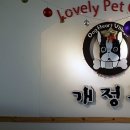 까페 개정촌 이미지