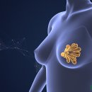 도반한방병원 이미지