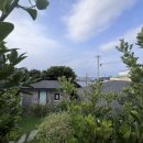 막다른 둥지 이미지