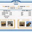 아쿠아 밸리 이미지