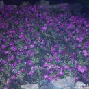 만인산식당 이미지