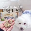 댕댕이푸드 | 강아지 뒷다리 힘 고민 끝! 트러스티푸드 동결건조영양제 솔직후기