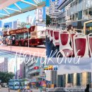 EG투어버스 H코스 | 홍콩 여행 빅버스투어 스타페리, 피크트램 스카이테라스까지 코스 추천