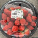 참사랑홈파티스스튜디오 매곡점 | 🐲2024_MAR_2 - 봄이다 봄