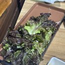 강남쌈밥 | 강남역 삼겹살 맛집 고불초쌈밥 후기, 저녁에 목살과 삼겹살 먹기 좋은 곳
