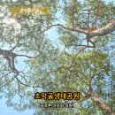 바람고개길 | 군포 초막골생태공원 돗자리 명당! 주차장·놀이터·캠핑장까지 하루 코스 후기