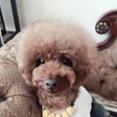 도담정