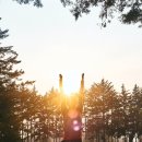 새벽요가(화,목) 이미지