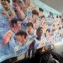 승리체육관 | VS 고양소노스카이거너스] ☆ 구단주가 쏘는 비행기 타고 간 승리의 원정응원단ㅣ창원실내체육관 직관후기