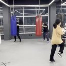 메이져 복싱 이미지