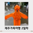 강정동-52 | 제주도 가족여행 2일차/아트서커스, 엉또폭포, 표선해수욕장, 동문시장