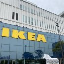 강동 이케아 IKEA 방문 후기 🪑🛋️🛏️ | 이케아 식당 메뉴 추천 평일 메뉴 할인 정보 | 이케아 아이스크림