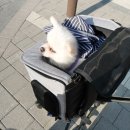 짱구세탁소 이미지