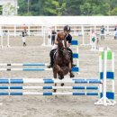 건영승마장 이미지