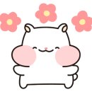 그리샵 이미지