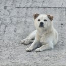 평림경로당 이미지