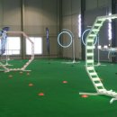 팬텀 당구장 이미지