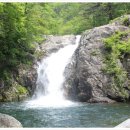 용추그린하우스 이미지