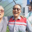 신동카 이미지