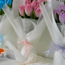 (주)모루 이미지