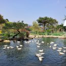 동물보육원 이미지