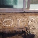 고란집 민박 이미지