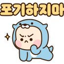 용인대 전주유도관 이미지