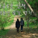 여유로운 산책…백운산 숲길 걷기 이미지