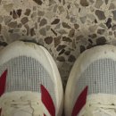 땅끝마을홍어 | 왔다네 50