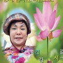 스파이더샵