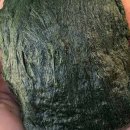더드림농수산