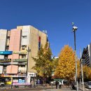 장미상가 B동 이미지