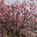 동부2리경로당 이미지