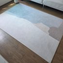 수원 카페트 청소 비치움 경영클린 수원대리점 솔직후기